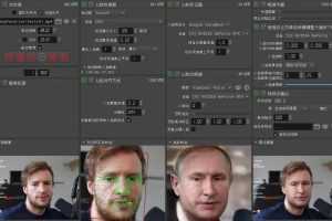 （4126期）视频换脸＋实时直播换脸（软件+模型+教程）
