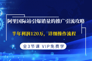 （1374期）阿里国际站引爆销量的推广引流攻略，半年利润120万，详细操作流程(全3节课)