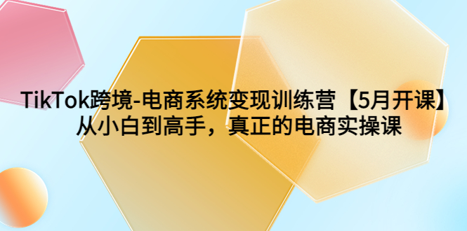 （6058期）TikTok跨境-电商系统变现训练营【5月新课】从小白到高手，真正的电商实操课-韬哥副业项目资源网