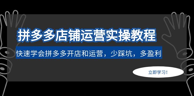 （4883期）拼多多店铺运营实操教程：快速学会拼多多开店和运营，少踩坑，多盈利-韬哥副业项目资源网