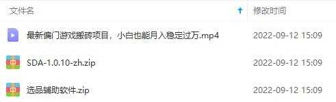 （3753期）最新偏门游戏搬砖项目，互联网小白照抄稳定月入过万（教程+软件）