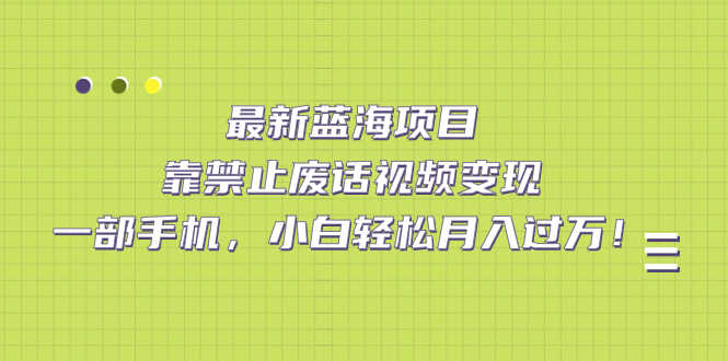 （7276期）最新蓝海项目，靠禁止废话视频变现，一部手机，小白轻松月入过万！