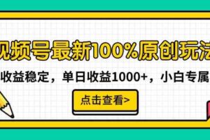 (9070期)视频号最新100%原创玩法,收益稳定,单日收益1000+,小白专属
