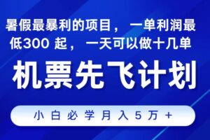 （11204期）2024最新项目，冷门暴利，整个暑假都是高爆发期，一单利润300+，二十…