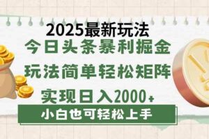 (14120期)今日头条2025最新玩法,思路简单,复制粘贴,轻松实现矩阵日入2000+