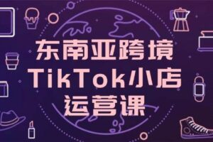 （14390期）东南亚跨境TikTok小店运营课，掌握店铺设置与流量转化核心技巧