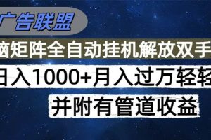 （16208期）海外广告联盟每天几分钟日入1000+无脑操作，可矩阵并附有管道收益