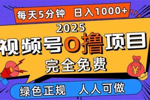 （16388期）2025视频号0撸项目，5分钟一个号，日入1000+，人人可做