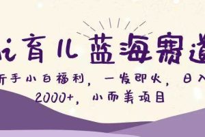 （16612期）Ai育儿蓝海赛道，新手小白福利，一发即火，日入2000+，小而美项目