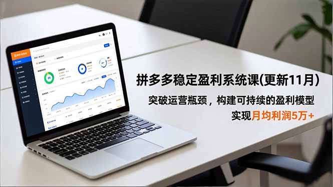 拼多多盈利课，突破运营瓶颈，构建可持续盈利模型，月均利润5万+-汇创资源网-一个提供最全的虚拟资源网站