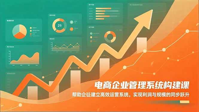 电商企业管理系统课：帮助企业建立高效运营系统，利润规模的跃升-汇创资源网-一个提供最全的虚拟资源网站