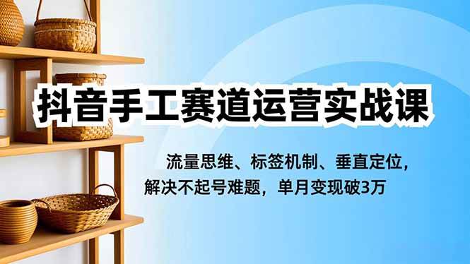 抖音手工赛道课，流量思维、标签机制、垂直定位，解决不起号难题-汇创资源网-一个提供最全的虚拟资源网站