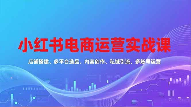 小红书电商运营课，店铺搭建、多平台选品、内容创作、私域引流等-汇创资源网-一个提供最全的虚拟资源网站