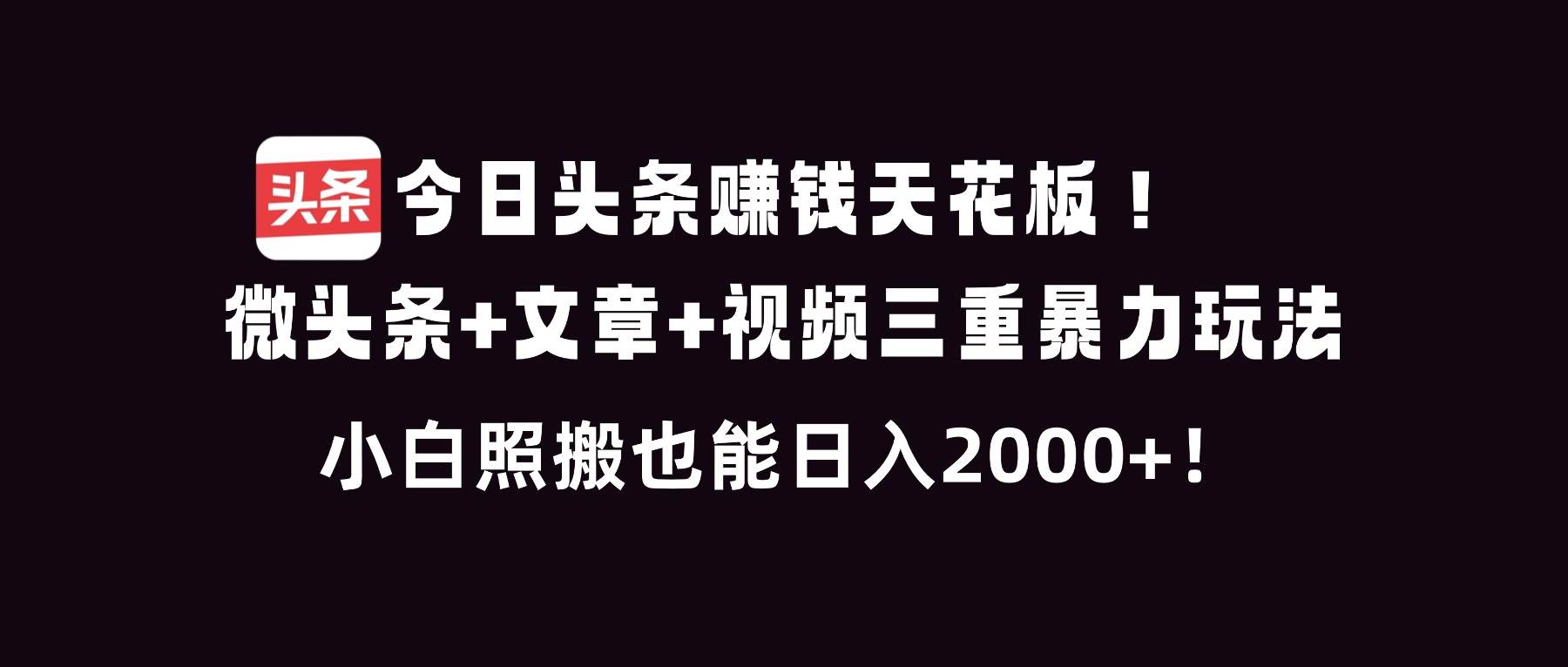今日头条赚钱天花板！微头条+文章+视频三重暴利玩法，日人2000+-汇创资源网-一个提供最全的虚拟资源网站