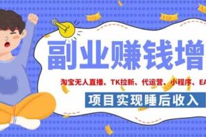(19654期)2026年多个真实落地副业项目,手把手带你搭建被动收入管道(淘宝无人直播、海外TK拉新…